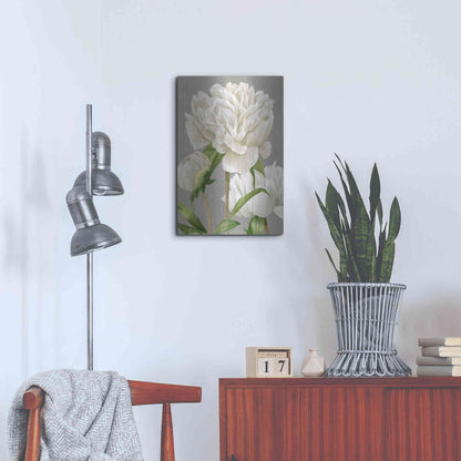 Luxe Metal Art 'White Peonies II' by Grace Popp Metal Wall Art,16x24