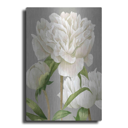 Luxe Metal Art 'White Peonies II' by Grace Popp Metal Wall Art