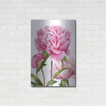 Luxe Metal Art 'Winsome Peonies II' by Grace Popp Metal Wall Art,24x36
