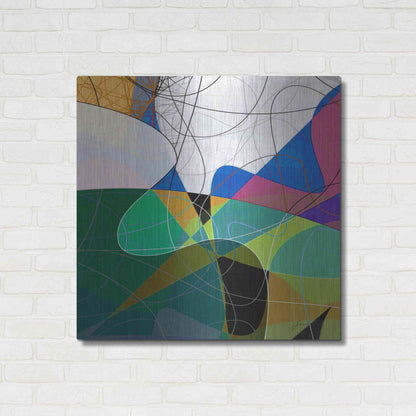 Luxe Metal Art 'Entangled I' by James Burghardt, Metal Wall Art,36x36