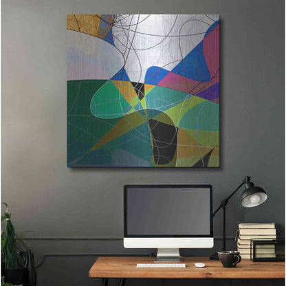 Luxe Metal Art 'Entangled I' by James Burghardt, Metal Wall Art,36x36