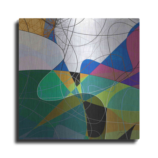 Luxe Metal Art 'Entangled I' by James Burghardt, Metal Wall Art