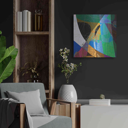 Luxe Metal Art 'Entangled II' by James Burghardt, Metal Wall Art,24x24