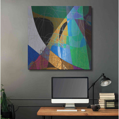 Luxe Metal Art 'Entangled II' by James Burghardt, Metal Wall Art,36x36