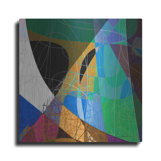 Luxe Metal Art 'Entangled II' by James Burghardt, Metal Wall Art