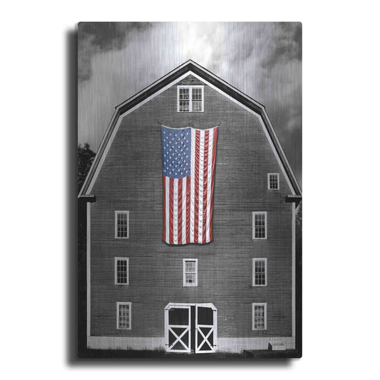 Luxe Metal Art 'Flags of Our Farmers XIX' by James McLoughlin Metal Wall Art