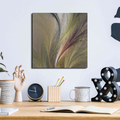 Luxe Metal Art 'Fountain Grass I' by James Burghardt, Metal Wall Art,12x12