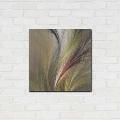 Luxe Metal Art 'Fountain Grass I' by James Burghardt, Metal Wall Art,24x24