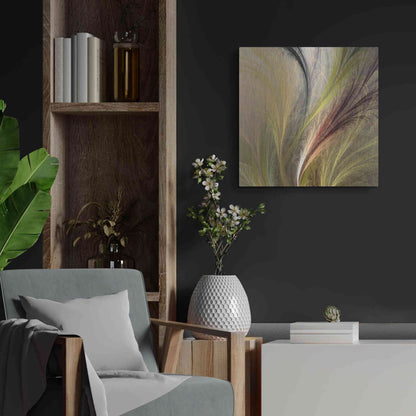 Luxe Metal Art 'Fountain Grass I' by James Burghardt, Metal Wall Art,24x24