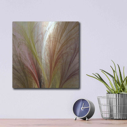 Luxe Metal Art 'Fountain Grass II' by James Burghardt, Metal Wall Art,12x12