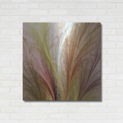 Luxe Metal Art 'Fountain Grass II' by James Burghardt, Metal Wall Art,36x36