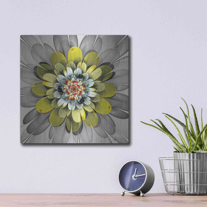 Luxe Metal Art 'Fractal Blooms IV' by James Burghardt, Metal Wall Art,12x12