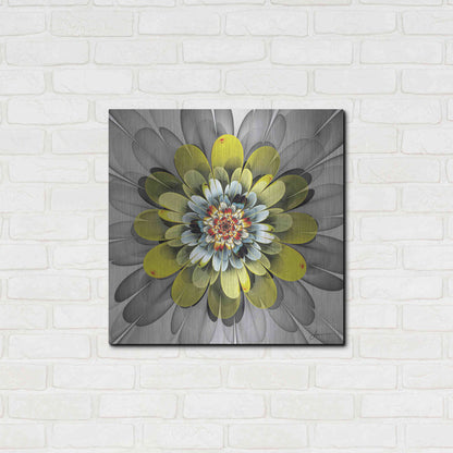 Luxe Metal Art 'Fractal Blooms IV' by James Burghardt, Metal Wall Art,24x24