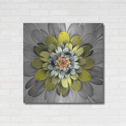 Luxe Metal Art 'Fractal Blooms IV' by James Burghardt, Metal Wall Art,36x36