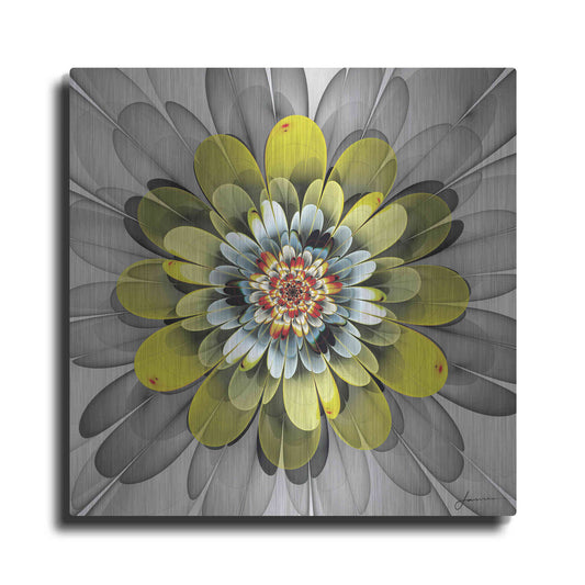 Luxe Metal Art 'Fractal Blooms IV' by James Burghardt, Metal Wall Art