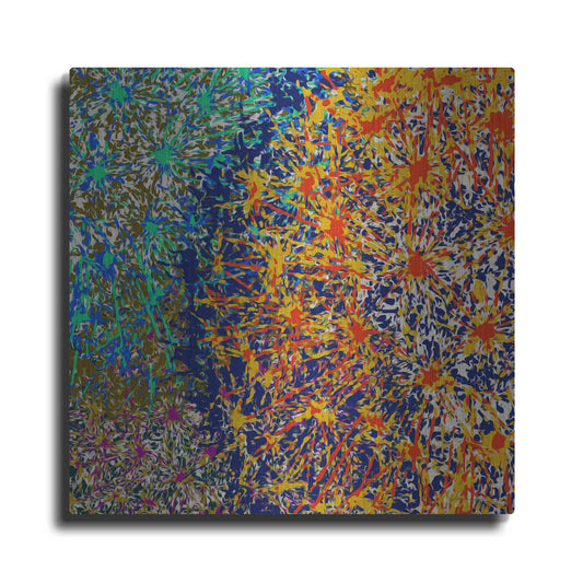Luxe Metal Art 'Profusion I' by James Burghardt, Metal Wall Art