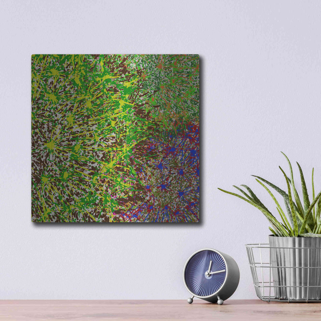 Luxe Metal Art 'Profusion II' by James Burghardt, Metal Wall Art,12x12