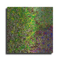Luxe Metal Art 'Profusion II' by James Burghardt, Metal Wall Art