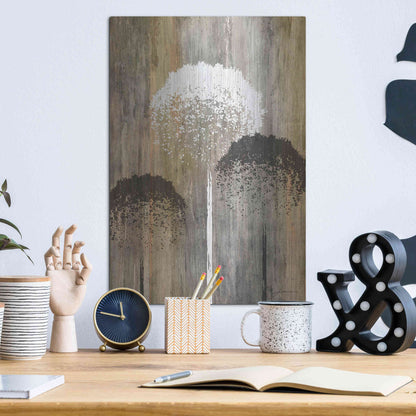 Luxe Metal Art 'Rustic Garden I' by James Burghardt, Metal Wall Art,12x16