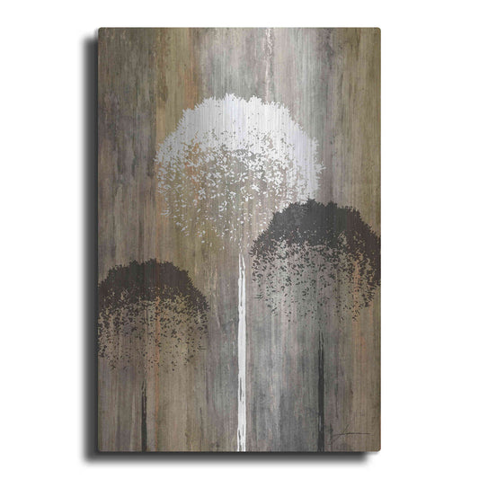 Luxe Metal Art 'Rustic Garden I' by James Burghardt, Metal Wall Art