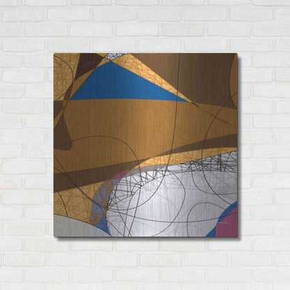 Luxe Metal Art 'Tangled I' by James Burghardt, Metal Wall Art,36x36