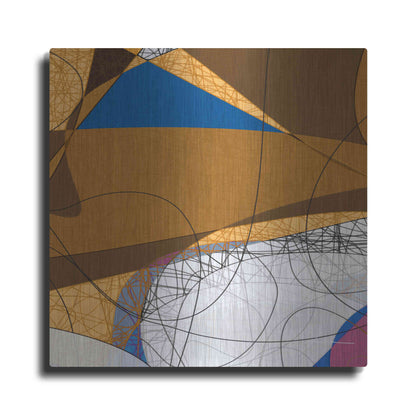 Luxe Metal Art 'Tangled I' by James Burghardt, Metal Wall Art