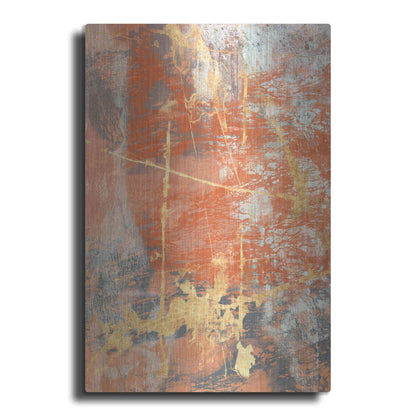 Luxe Metal Art 'Terre Cotta Lace I' by Jennifer Goldberger Metal Wall Art