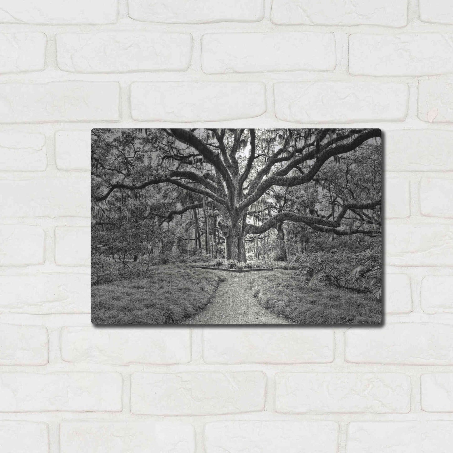 Luxe Metal Art 'Florida Tree' by PH Burchett Metal Wall Art,16x12