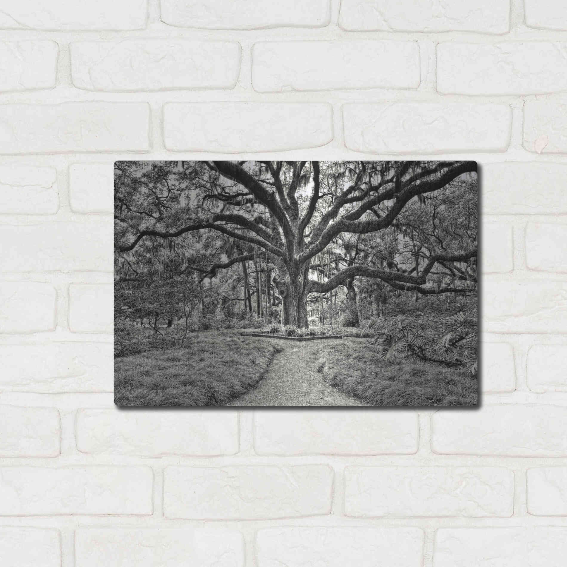 Luxe Metal Art 'Florida Tree' by PH Burchett Metal Wall Art,16x12