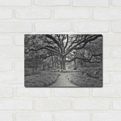 Luxe Metal Art 'Florida Tree' by PH Burchett Metal Wall Art,16x12
