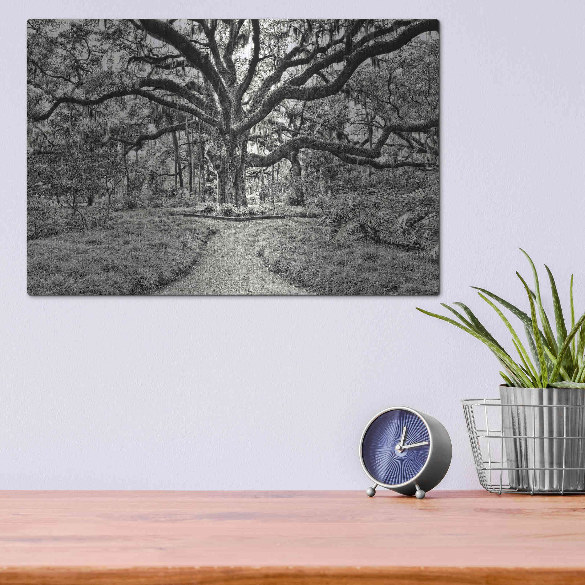 Luxe Metal Art 'Florida Tree' by PH Burchett Metal Wall Art,16x12