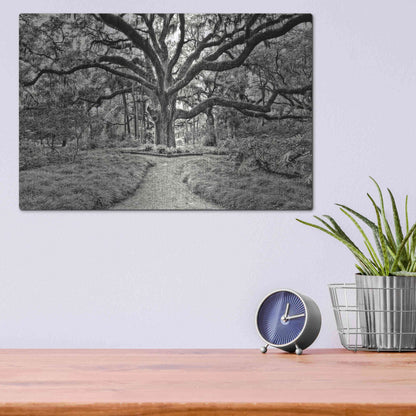 Luxe Metal Art 'Florida Tree' by PH Burchett Metal Wall Art,16x12