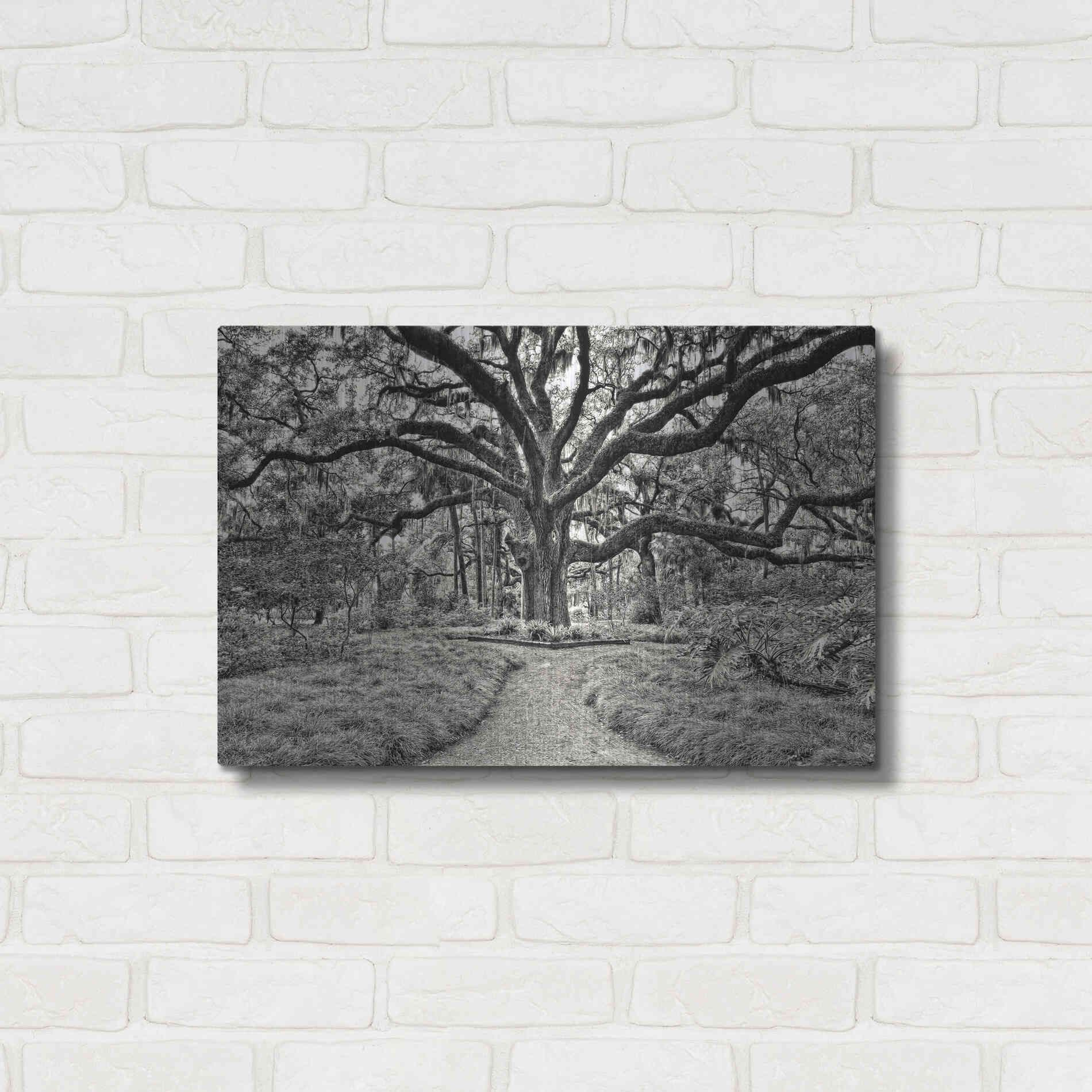 Luxe Metal Art 'Florida Tree' by PH Burchett Metal Wall Art,24x16