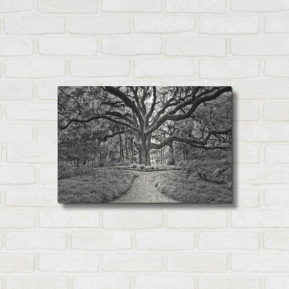 Luxe Metal Art 'Florida Tree' by PH Burchett Metal Wall Art,24x16