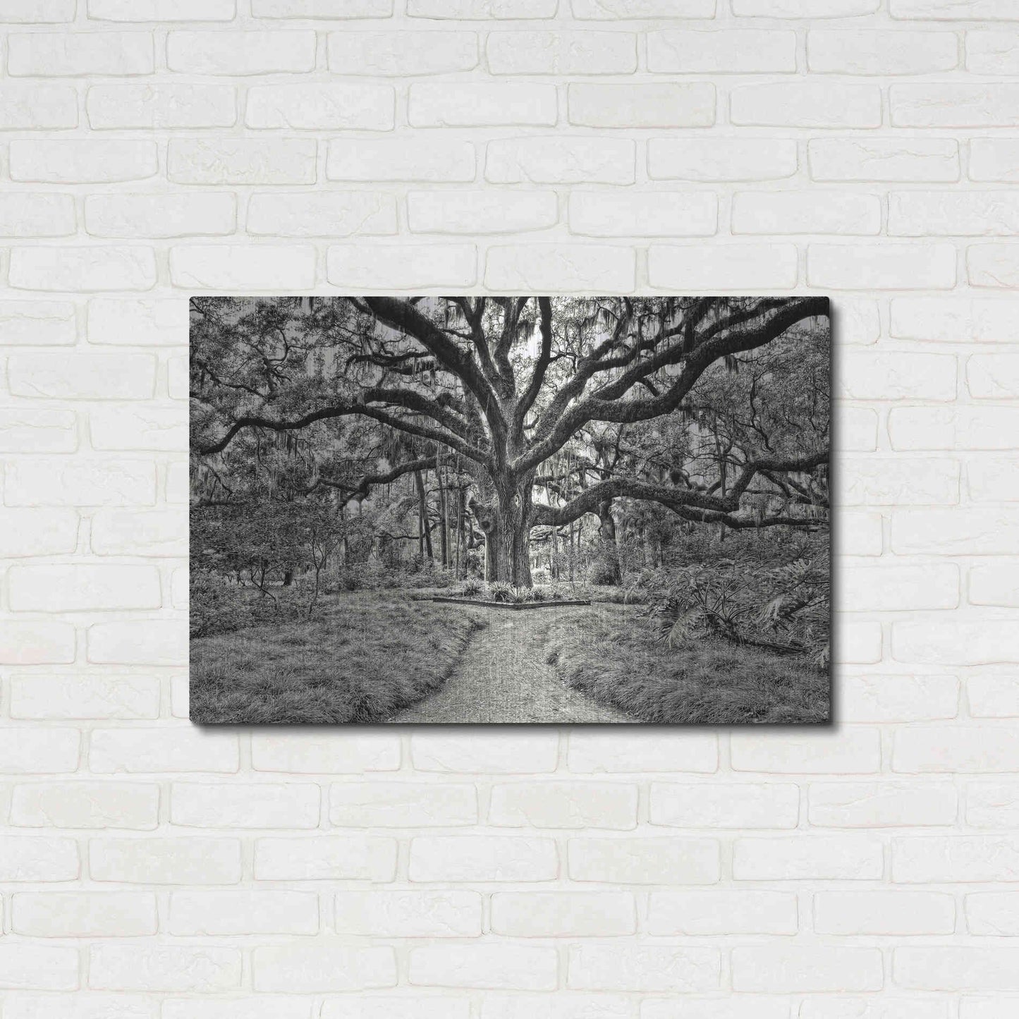 Luxe Metal Art 'Florida Tree' by PH Burchett Metal Wall Art,36x24