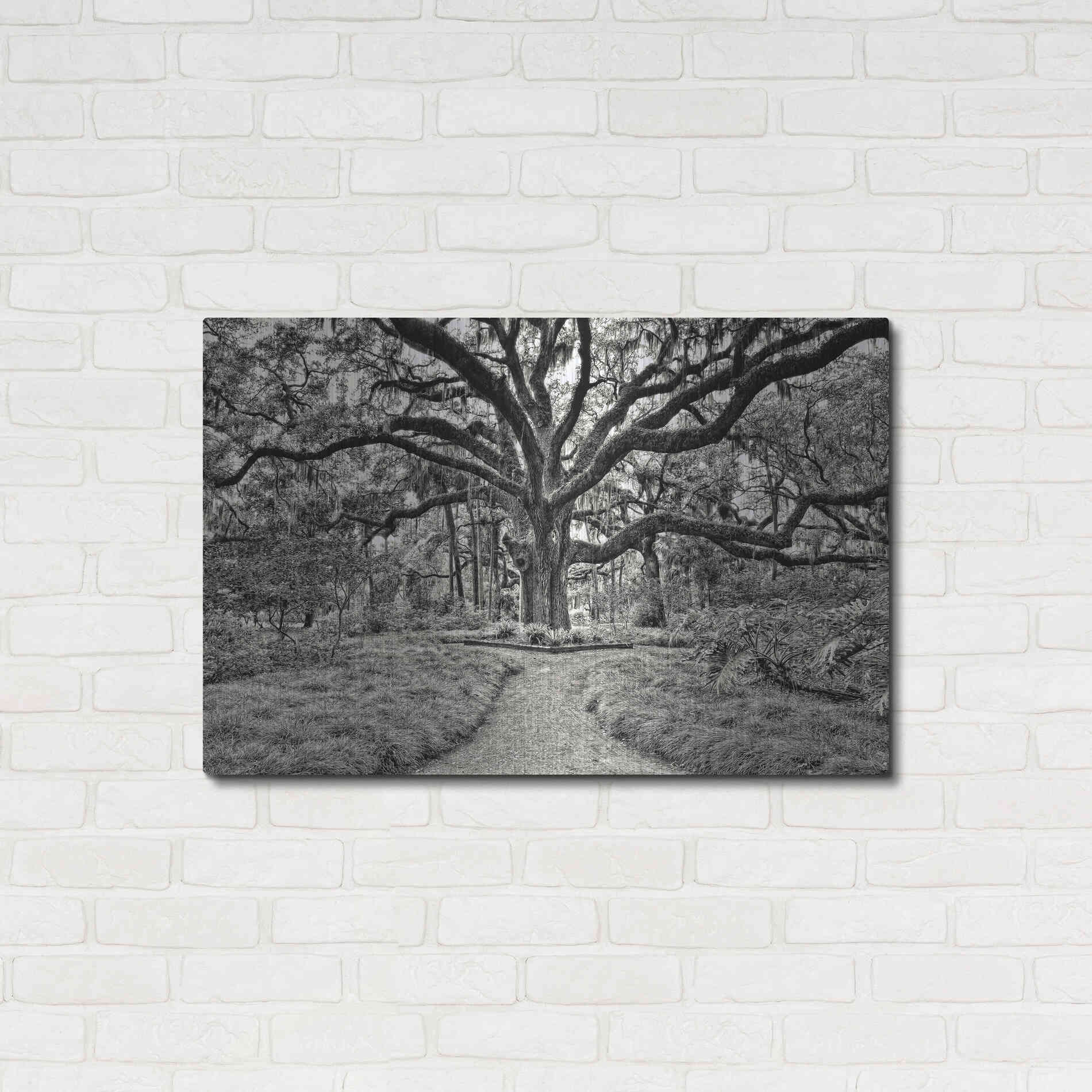 Luxe Metal Art 'Florida Tree' by PH Burchett Metal Wall Art,36x24