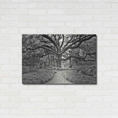 Luxe Metal Art 'Florida Tree' by PH Burchett Metal Wall Art,36x24