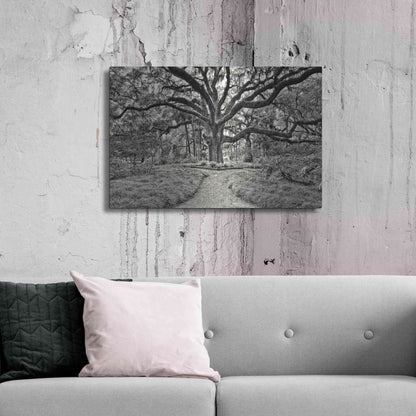 Luxe Metal Art 'Florida Tree' by PH Burchett Metal Wall Art,36x24