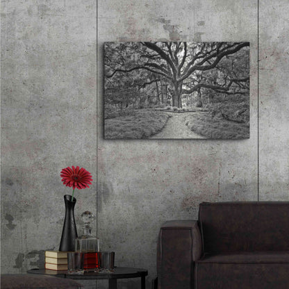 Luxe Metal Art 'Florida Tree' by PH Burchett Metal Wall Art,36x24