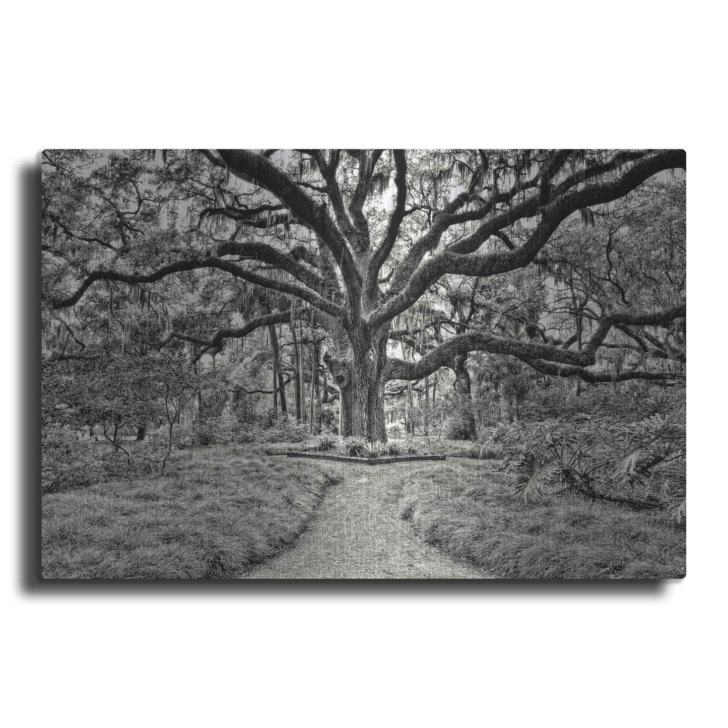 Luxe Metal Art 'Florida Tree' by PH Burchett Metal Wall Art