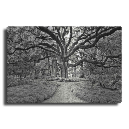 Luxe Metal Art 'Florida Tree' by PH Burchett Metal Wall Art