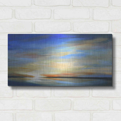 Luxe Metal Art 'April Sky II' by Sheila Finch Metal Wall Art,24x12