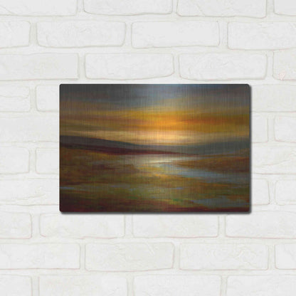 Luxe Metal Art 'Evening Sky' by Sheila Finch Metal Wall Art,16x12