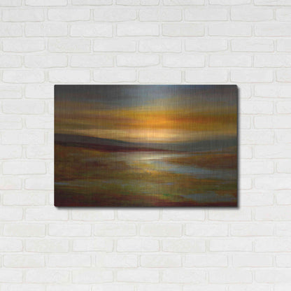 Luxe Metal Art 'Evening Sky' by Sheila Finch Metal Wall Art,36x24
