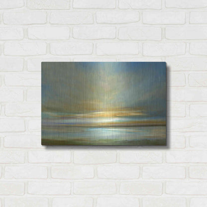 Luxe Metal Art 'Light on the Dunes' by Sheila Finch Metal Wall Art,24x16