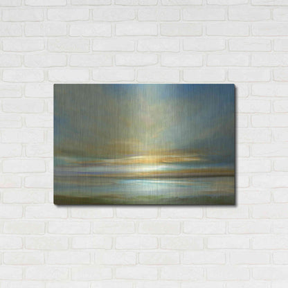 Luxe Metal Art 'Light on the Dunes' by Sheila Finch Metal Wall Art,36x24