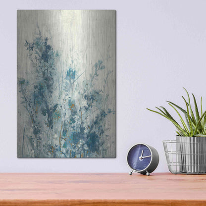 Luxe Metal Art 'Blue Spring I' by Tim O'Toole Metal Wall Art,12x16