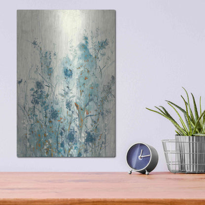 Luxe Metal Art 'Blue Spring II' by Tim O'Toole Metal Wall Art,12x16