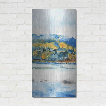 Luxe Metal Art 'Island Mist II' by Tim O'Toole Metal Wall Art,24x48