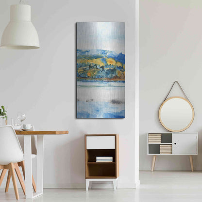 Luxe Metal Art 'Island Mist II' by Tim O'Toole Metal Wall Art,24x48